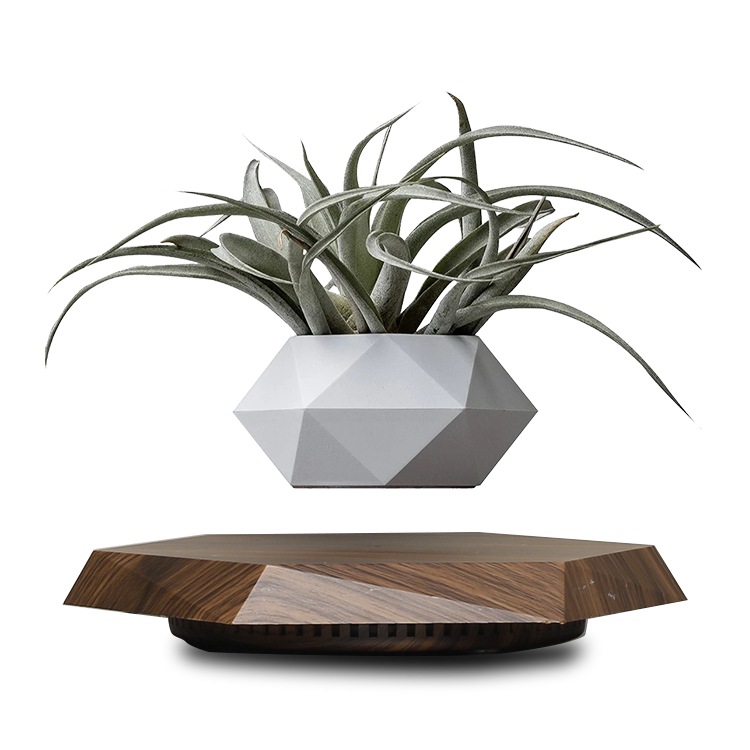 spinning plant pot BandD Floating Plant Pot