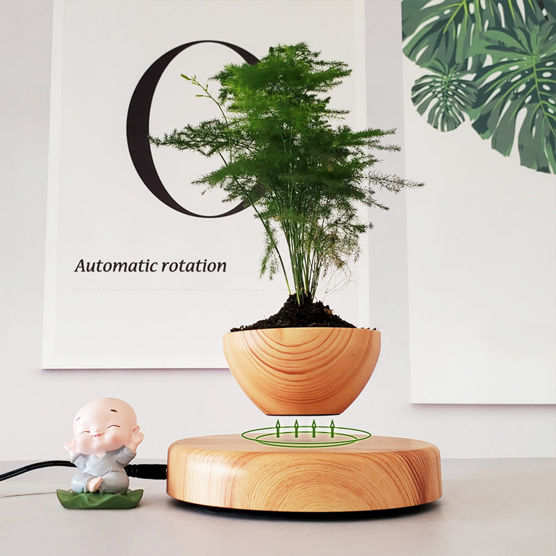 floating plant pots magnetic LANGTU Magnetic Levitating Flower Pot Dark Brown