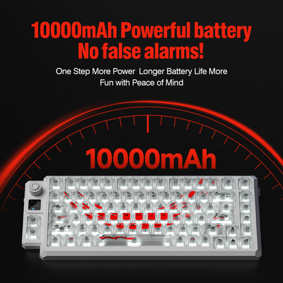 LANGTU T75 HIGH-END RGB TRI-MODE GAMING AND OFFICE MECHNICAL KEYBOARD
