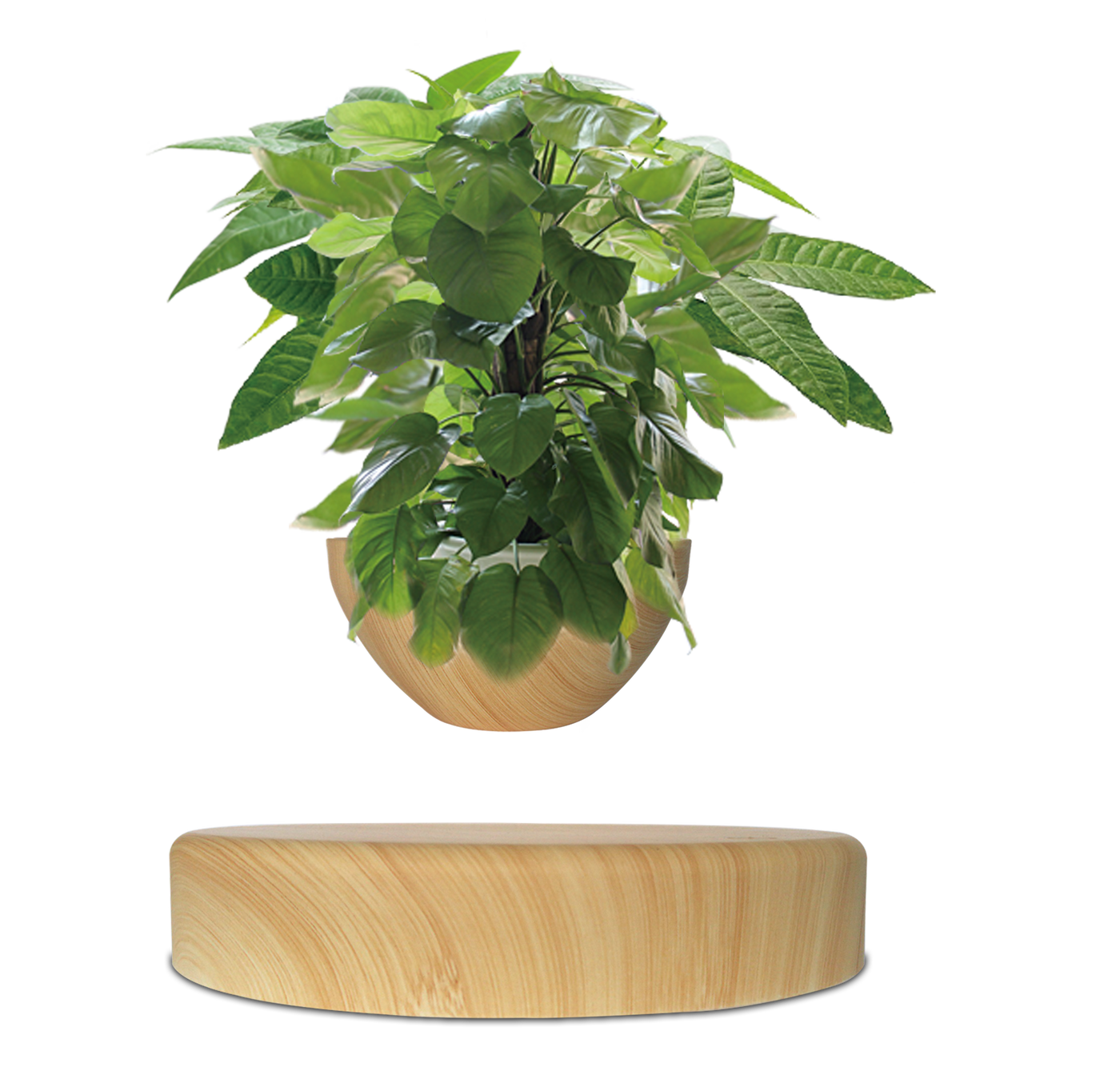 LANGTU Magnetic Levitating Flower Pot