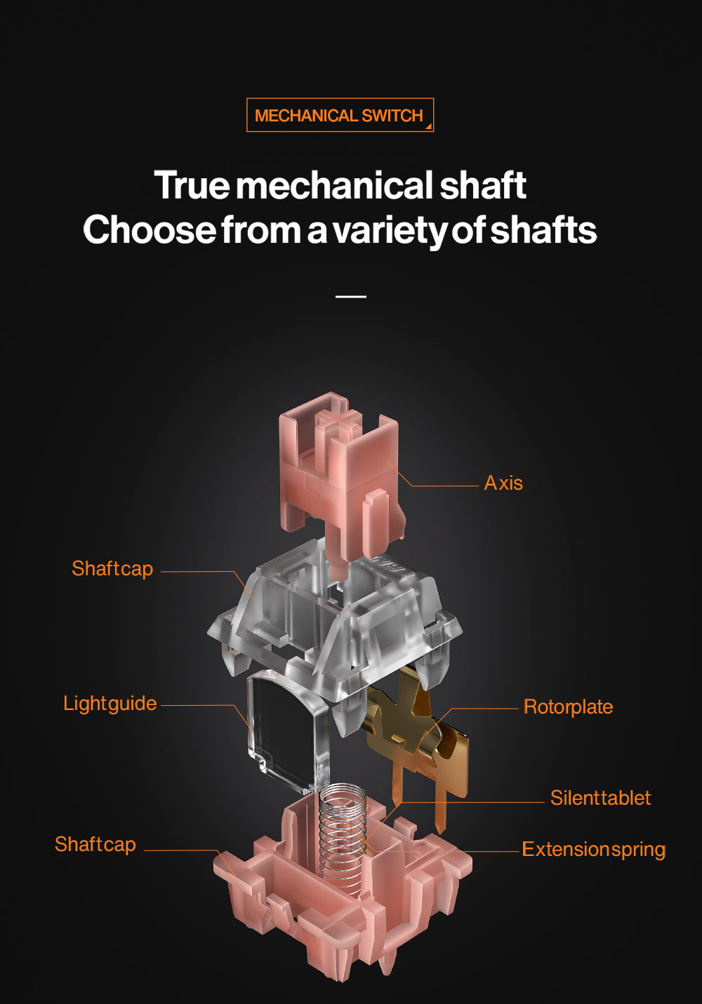 Langtu T98 Wireless Tri-Mode Efficiency And Experience Mechanical Keyboard