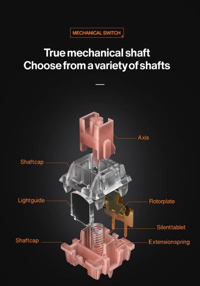 Langtu T98 Wireless Tri-Mode Efficiency And Experience Mechanical Keyboard