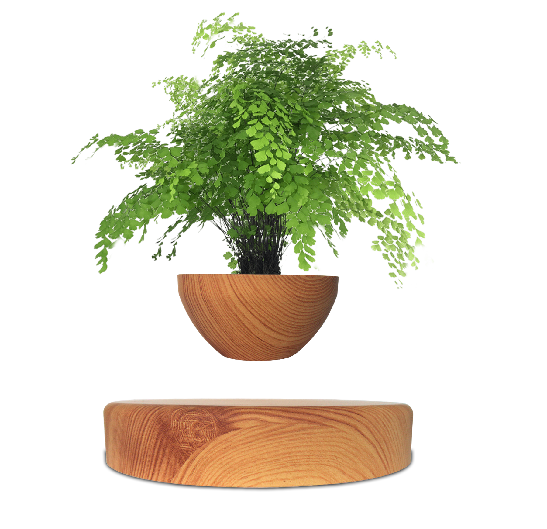 Magnetic Levitating Planter