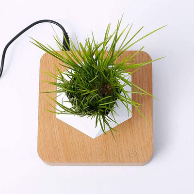 LANGTU Magnetic Levitating Air Bonsai Pot Floating Flower Pot Rotating Potted Planter for Home, Office & Desk Decor Maple - LANGTU Store