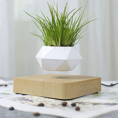 LANGTU Magnetic Levitating Air Bonsai Pot Floating Flower Pot Rotating Potted Planter for Home, Office & Desk Decor Maple - LANGTU Store