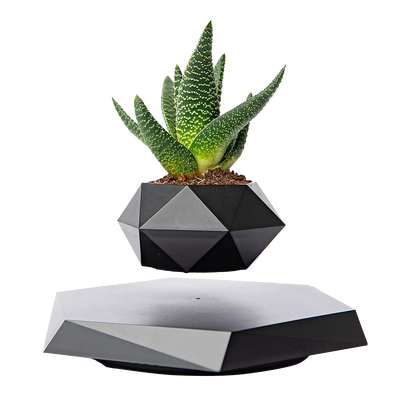 LANGTU magnetic levitation potted Black rotating flower pot
