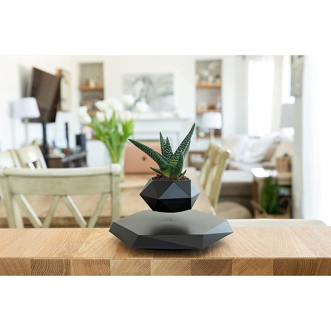 levitating plant pot LANGTU magnetic levitation potted Black rotating flower pot – LANGTU Store