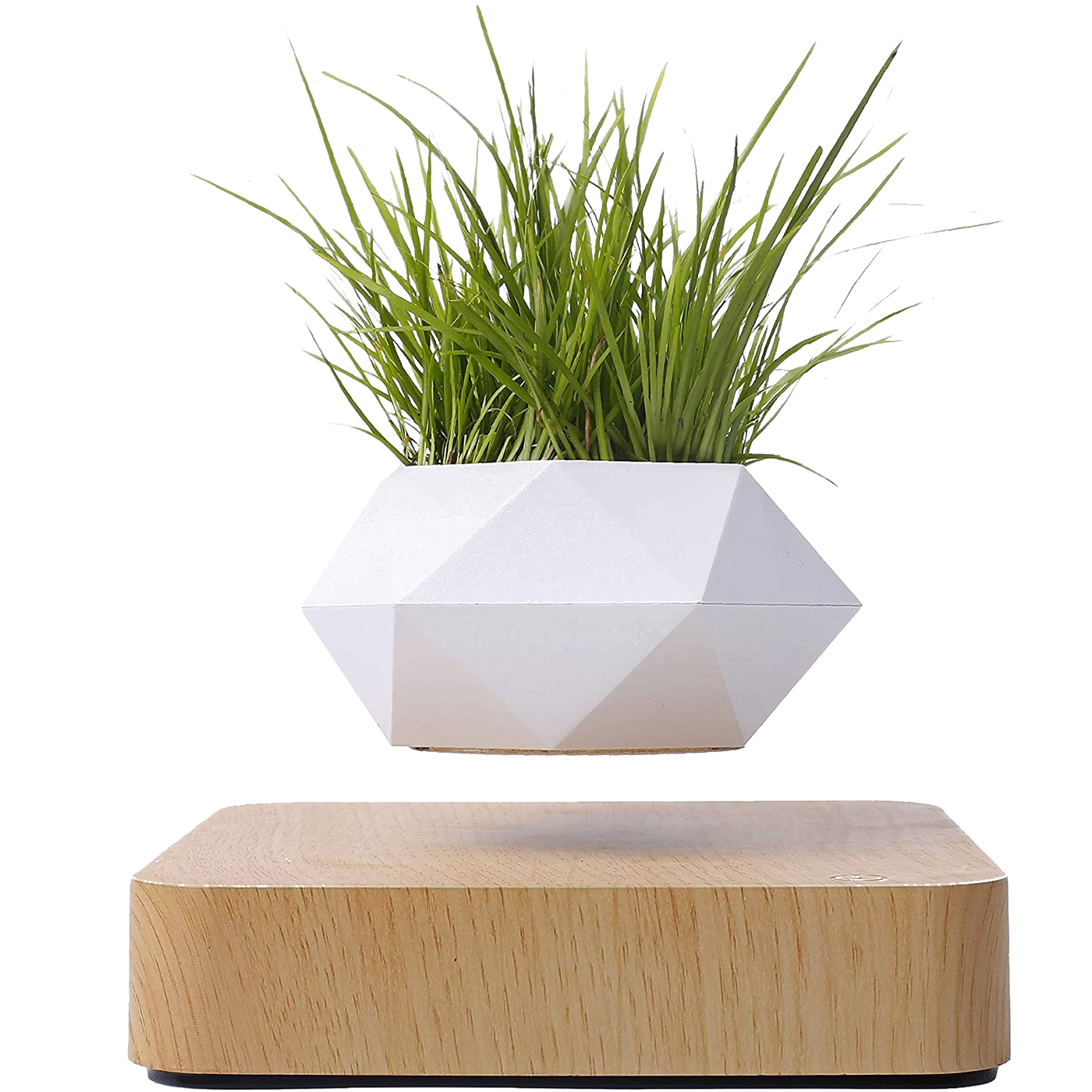 LANGTU Magnetic Levitating Air Bonsai Pot Floating Flower Pot Rotating Potted Planter for Home, Office & Desk Decor Maple