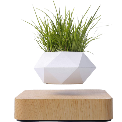 LANGTU Magnetisch schwebender Luft-Bonsai-Topf, schwimmender Blumentopf, drehbarer Topfpflanzer für Zuhause, Büro und Schreibtisch, Dekoration, Ahorn