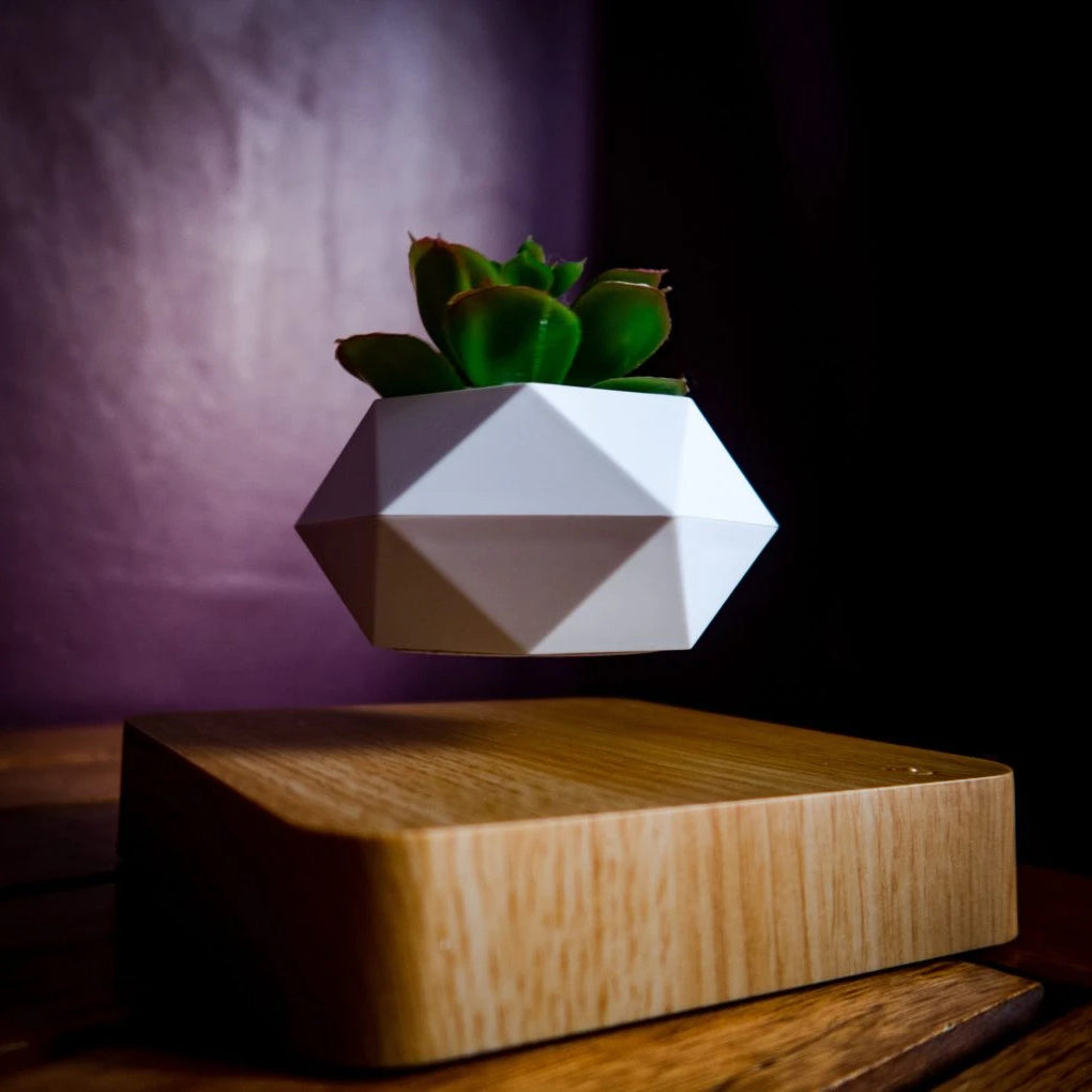 floating bonsai pot Babook Levitating Air Bonsai Pot, Rotation Flower Pot Planters, Magnetic Levitation Suspension Floating Pot, Potted Plant Home Desk Decor in Flower