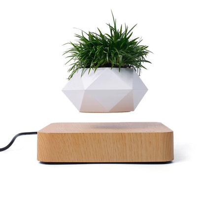 LANGTU Magnetic Levitating Air Bonsai Pot Floating Flower Pot Rotating Potted Planter for Home, Office & Desk Decor Maple Media - LANGTU Store