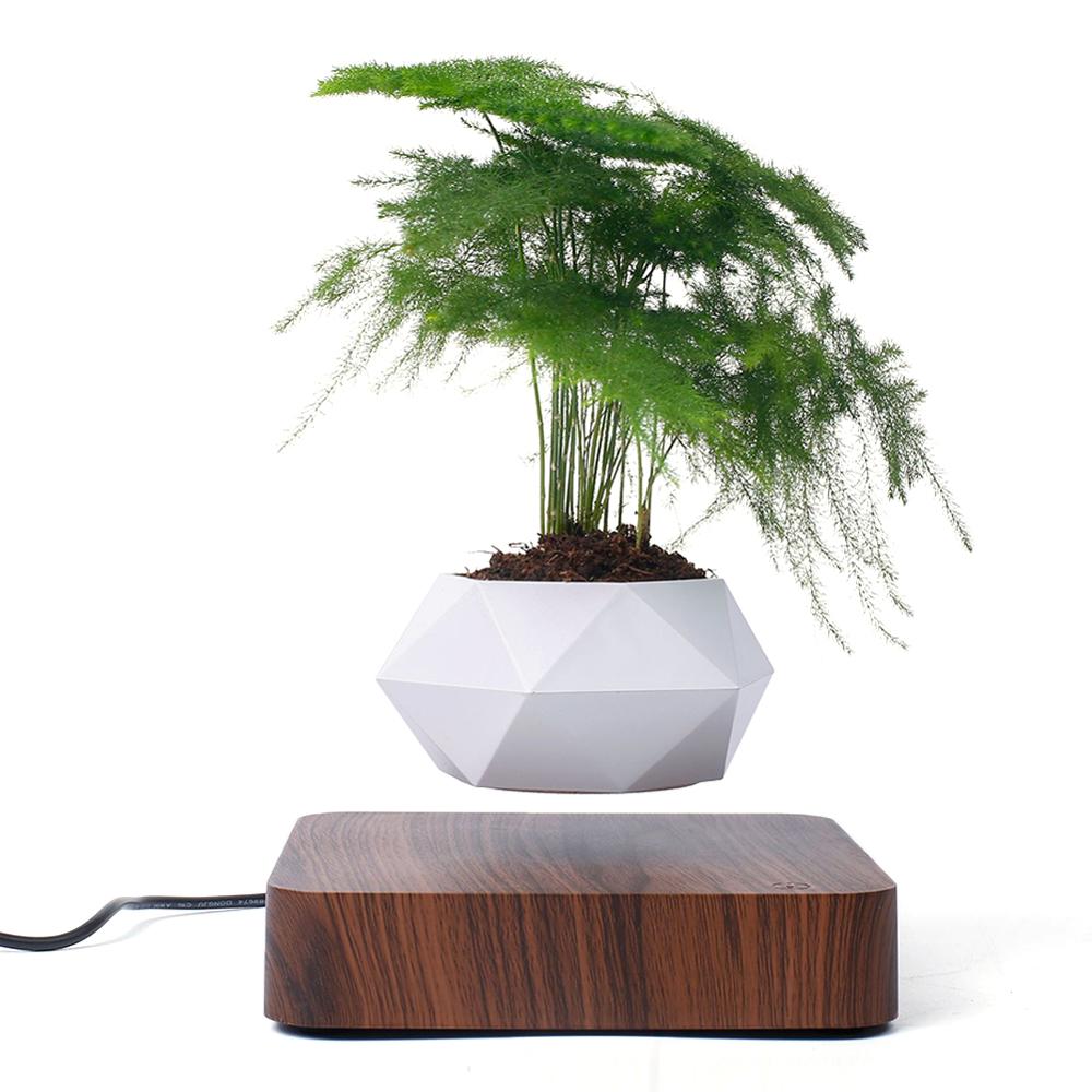 LANGTU magnetic levitation potted Walnut rotating flower pot