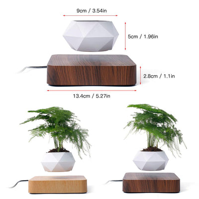 LANGTU Magnetisch schwebender Luft-Bonsai-Topf, schwimmender Blumentopf, drehbarer Topfpflanzer für Zuhause, Büro und Schreibtisch, Dekoration, Walnuss