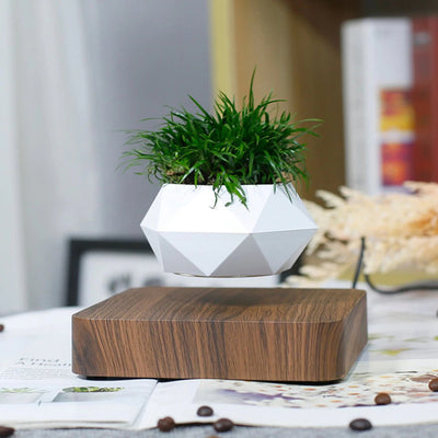 LANGTU Magnetic Levitating Air Bonsai Pot Floating Flower Pot Rotating Potted Planter for Home, Office & Desk Decor Walnut
