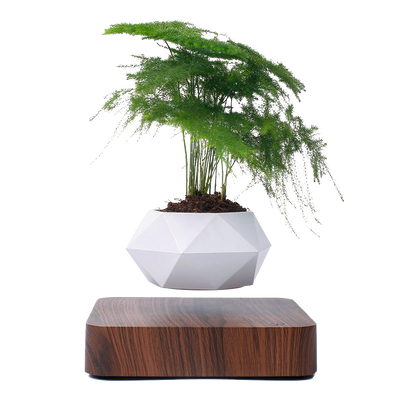 LANGTU Magnetisch schwebender Luft-Bonsai-Topf, schwimmender Blumentopf, drehbarer Topfpflanzer für Zuhause, Büro und Schreibtisch, Dekoration, Walnuss