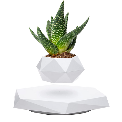 LANGTU Magnetschwebender Luft-Bonsai-Topf, schwimmender Blumentopf, drehbarer Topfpflanzer für Zuhause, Büro und Schreibtischdekoration, weiß