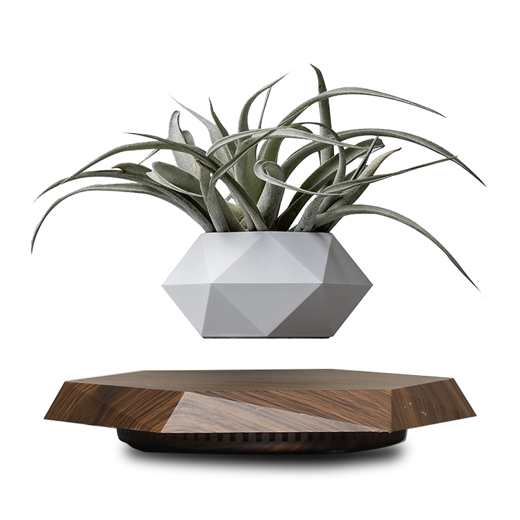 LANGTU Magnetic Levitating Air Bonsai Pot Floating Flower Pot Rotating Potted Planter for Home, Office & Desk Decor White & Walnut