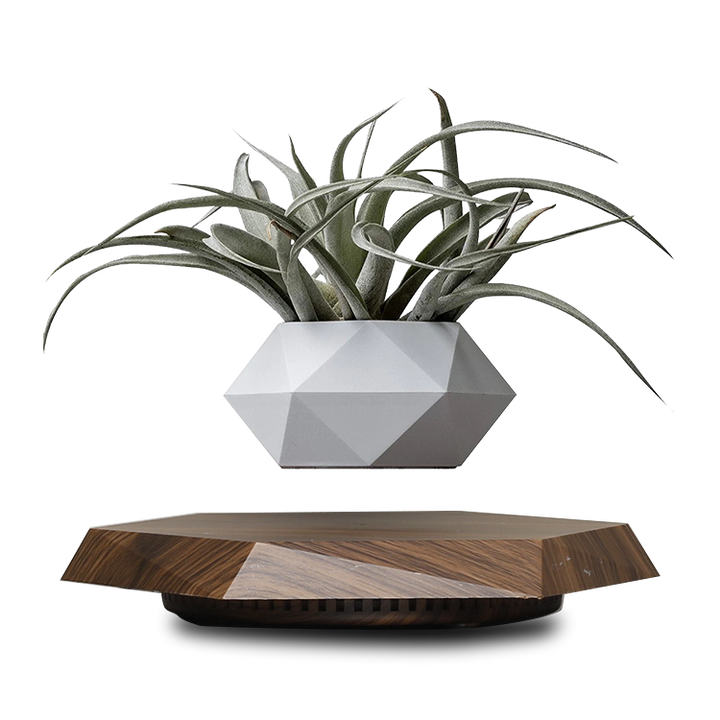 levitating pot plant LANGTU Magnetic Levitating White Flower Pot Rotating Potted Plant – LANGTU Store