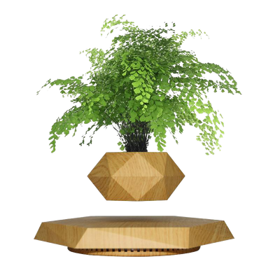 LANGTU Maple Magnetic Levitating Flower Pot Rotating Potted Plant